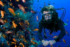 scuba-diving-tenerife2
