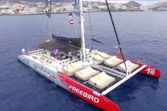 freebird-one-catamaran-boat-tenerife8
