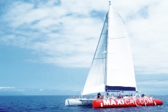 maxicat-catamaran-tenerife6